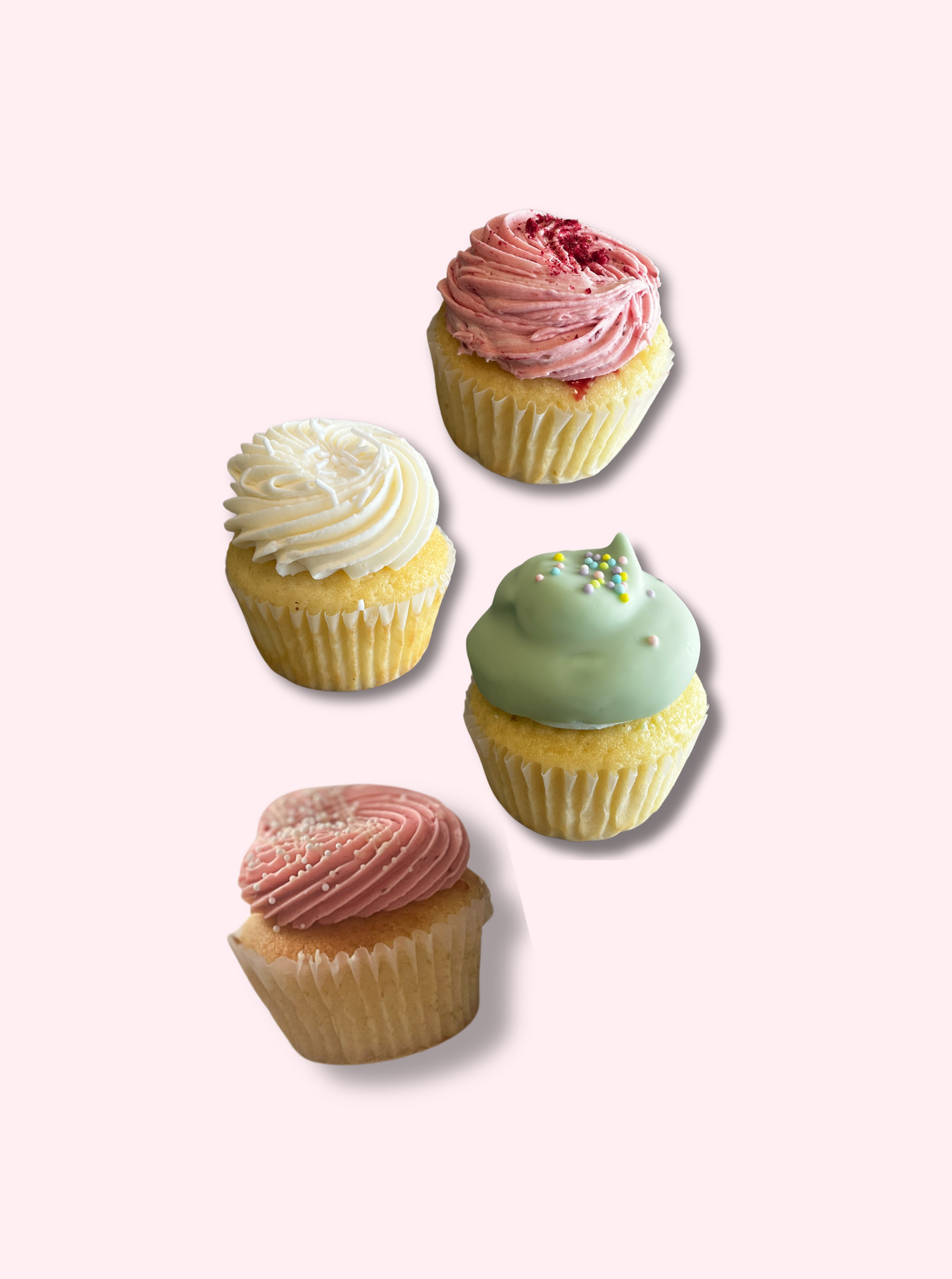 6 Cupcakes